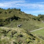 Navigating the Architectures: Unpacking the True Implications of a Cloud Server