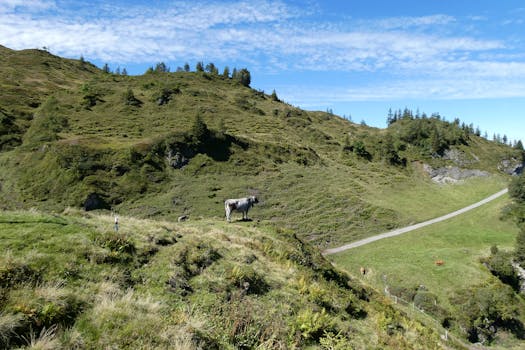 Navigating the Architectures: Unpacking the True Implications of a Cloud Server