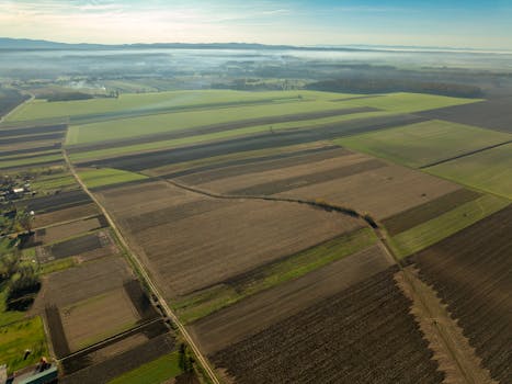 Beyond Servers: Why Cloud Hosting is Your Next Smart Move