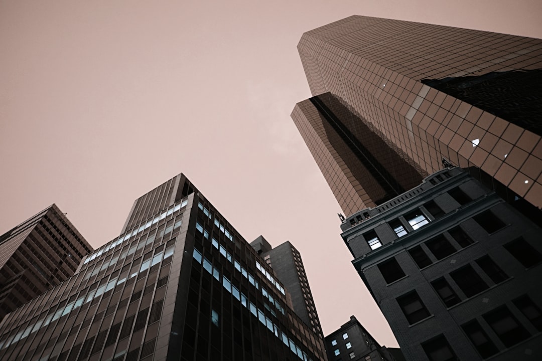 BC Corporation Loan Status: What You Need to Know