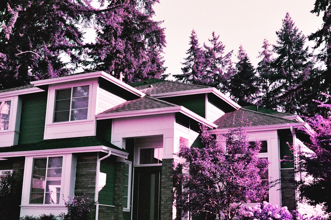 Nido Home Finance: A Guide to Smart Mortgage Management