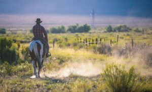 Travel Advisory Indiana: Essential Tips for Safe and Memorable Explorations