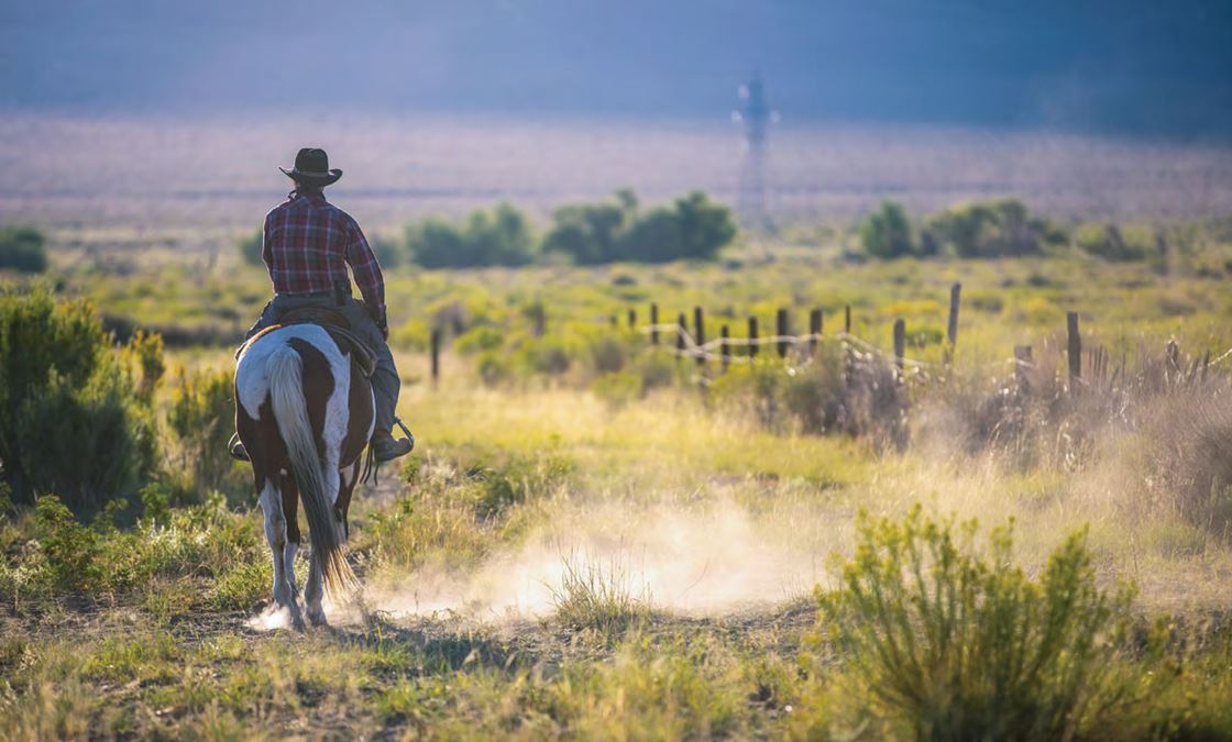 Travel Advisory Indiana: Essential Tips for Safe and Memorable Explorations