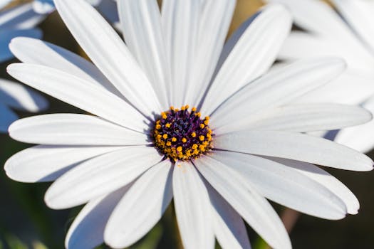 Digging Up the Dirt: Why You Should Absolutely Implement Native Plant Gardens (And How Not to Mess It Up!)