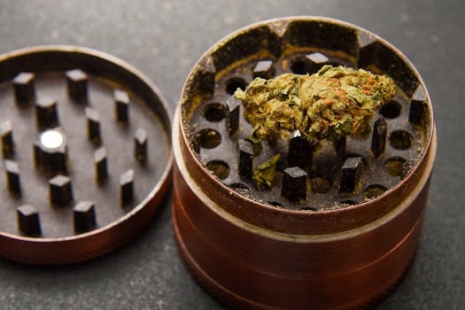 Decoding the LA Cannabis Landscape: Your Expert Guide to Finding Top Weed Shops