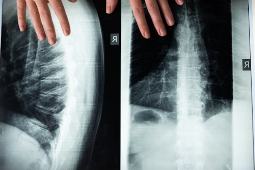 Decoding the Complexities of Spinal Cord Injury: Beyond the Surface