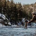 Unraveling Seasonal Insect Hatches and Their Impact on Fly Fishing