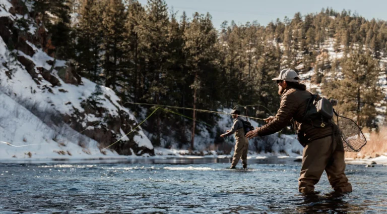 Unraveling Seasonal Insect Hatches and Their Impact on Fly Fishing