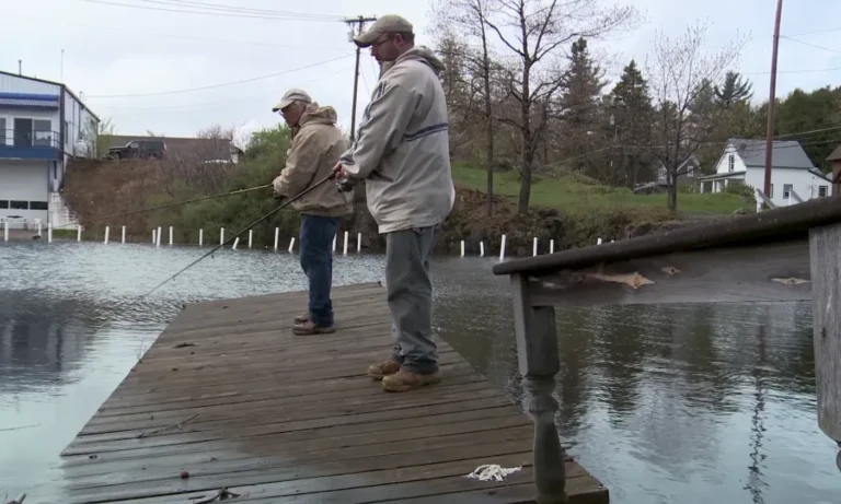 Mastering Urban Fishing: Adapting Techniques for City Lakes and Ponds