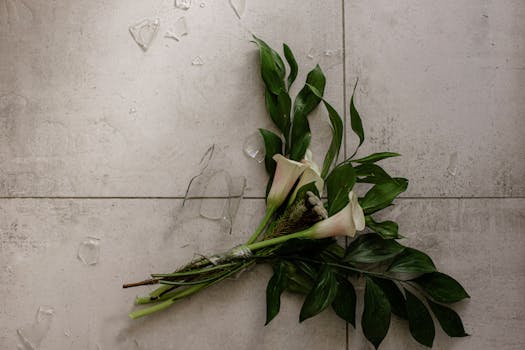 image_1769795009_1