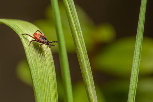 image_1769797865_1