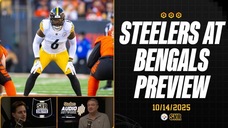 Pittsburgh Steelers vs Bengals Match Player Stats