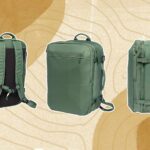 Target Travel Backpack