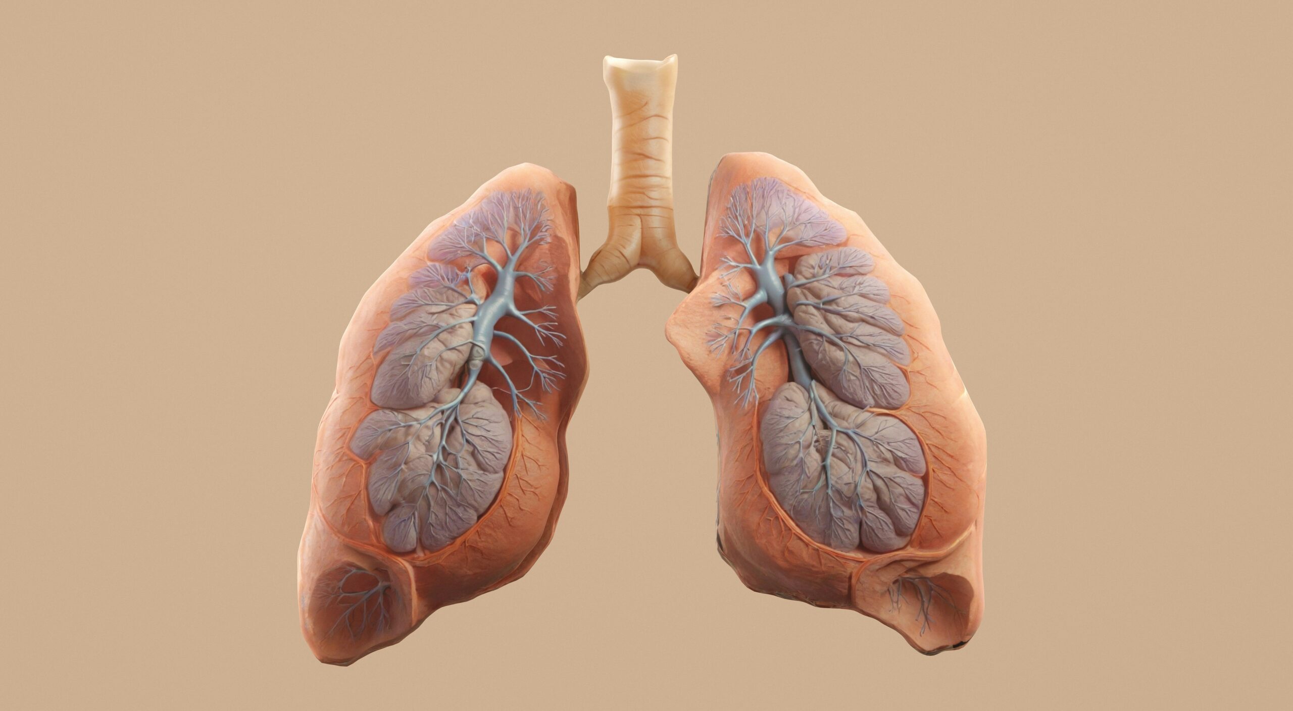 Respiratory Distress Syndrome in Preemies: Causes and Treatment